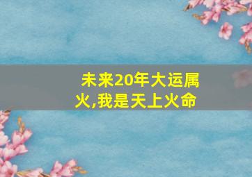 未来20年大运属火,我是天上火命