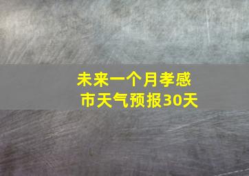 未来一个月孝感市天气预报30天