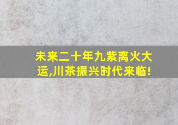 未来二十年九紫离火大运,川茶振兴时代来临!