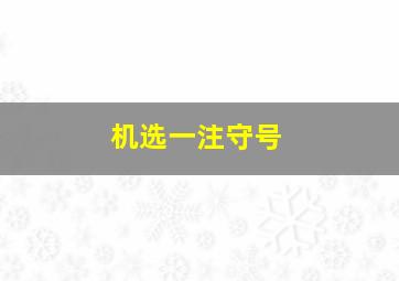 机选一注守号