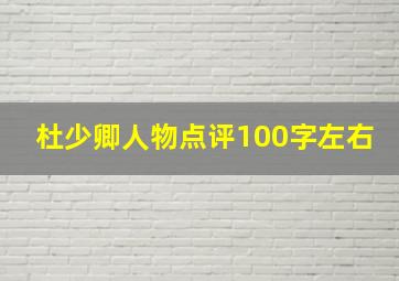 杜少卿人物点评100字左右