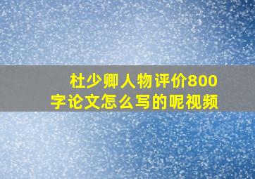 杜少卿人物评价800字论文怎么写的呢视频