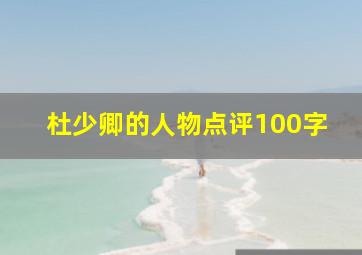 杜少卿的人物点评100字