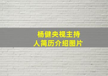 杨健央视主持人简历介绍图片