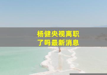 杨健央视离职了吗最新消息