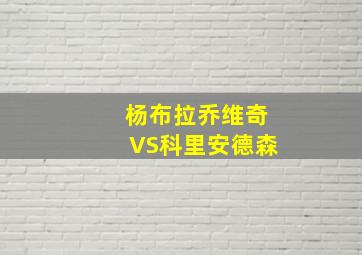 杨布拉乔维奇VS科里安德森