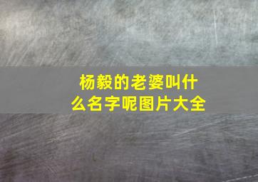 杨毅的老婆叫什么名字呢图片大全