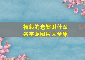 杨毅的老婆叫什么名字呢图片大全集