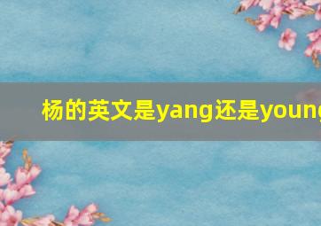 杨的英文是yang还是young