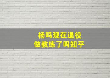 杨鸣现在退役做教练了吗知乎