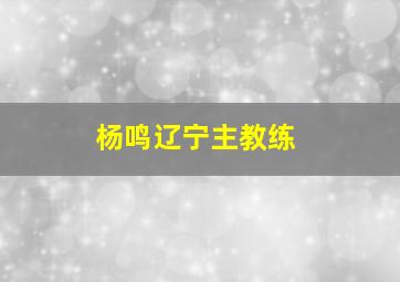 杨鸣辽宁主教练