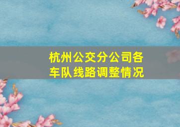 杭州公交分公司各车队线路调整情况