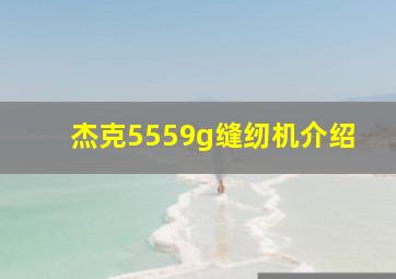 杰克5559g缝纫机介绍