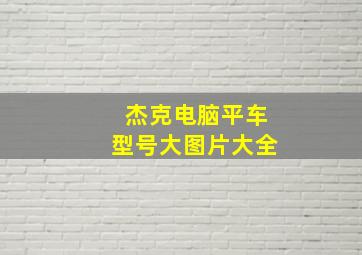 杰克电脑平车型号大图片大全