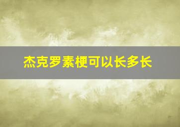 杰克罗素梗可以长多长