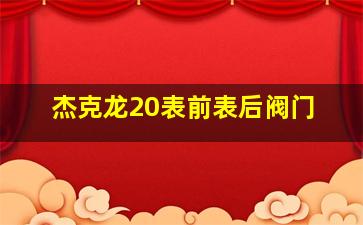 杰克龙20表前表后阀门