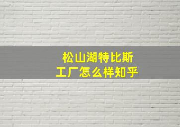 松山湖特比斯工厂怎么样知乎