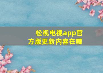 松视电视app官方版更新内容在哪