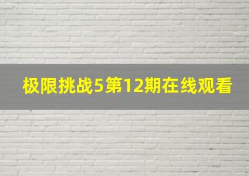 极限挑战5第12期在线观看