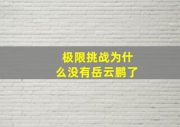 极限挑战为什么没有岳云鹏了