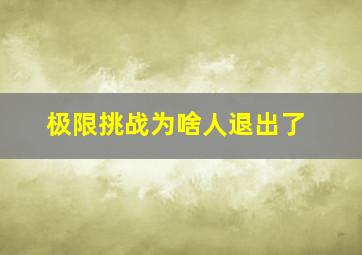 极限挑战为啥人退出了