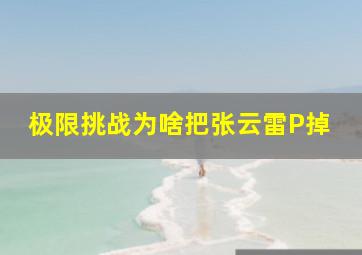 极限挑战为啥把张云雷P掉