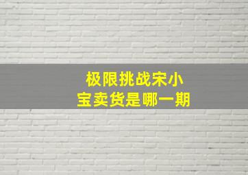 极限挑战宋小宝卖货是哪一期