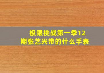 极限挑战第一季12期张艺兴带的什么手表