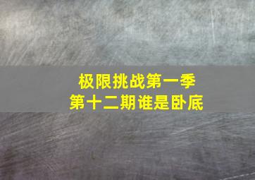 极限挑战第一季第十二期谁是卧底