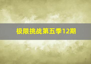 极限挑战第五季12期