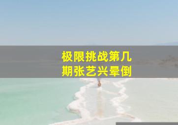 极限挑战第几期张艺兴晕倒