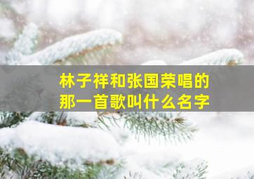 林子祥和张国荣唱的那一首歌叫什么名字