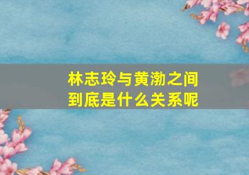 林志玲与黄渤之间到底是什么关系呢