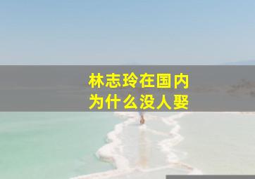 林志玲在国内为什么没人娶