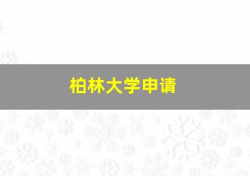 柏林大学申请