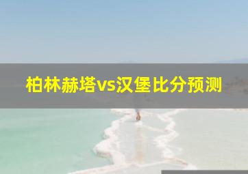 柏林赫塔vs汉堡比分预测