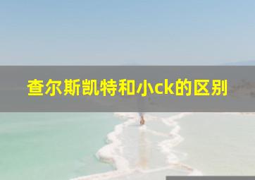 查尔斯凯特和小ck的区别