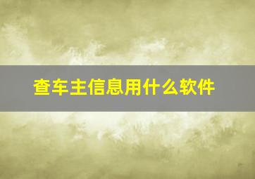 查车主信息用什么软件