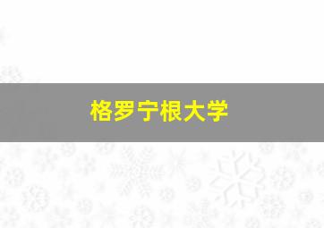 格罗宁根大学