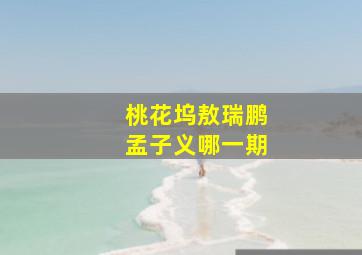 桃花坞敖瑞鹏孟子义哪一期