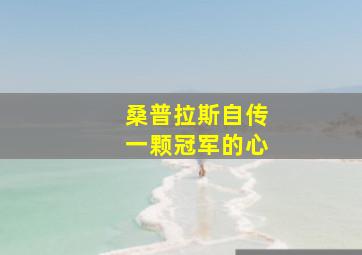 桑普拉斯自传一颗冠军的心