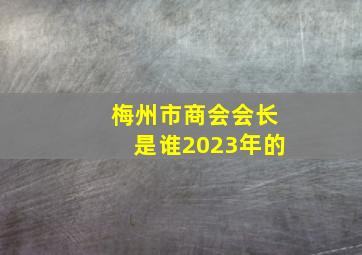 梅州市商会会长是谁2023年的