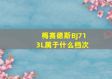 梅赛德斯BJ713L属于什么档次