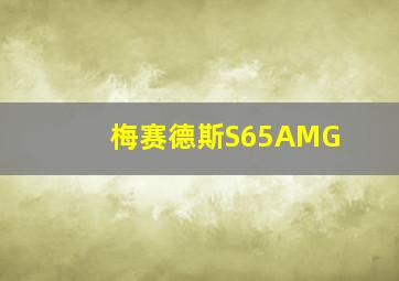 梅赛德斯S65AMG