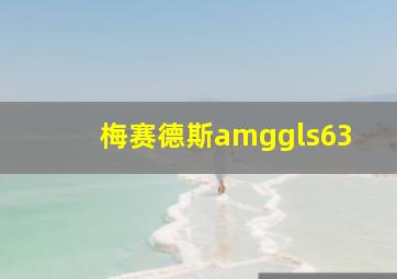 梅赛德斯amggls63