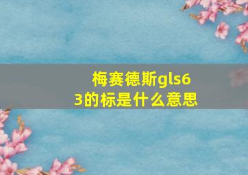 梅赛德斯gls63的标是什么意思