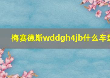 梅赛德斯wddgh4jb什么车型