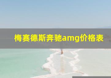 梅赛德斯奔驰amg价格表