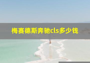 梅赛德斯奔驰cls多少钱