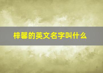 梓馨的英文名字叫什么